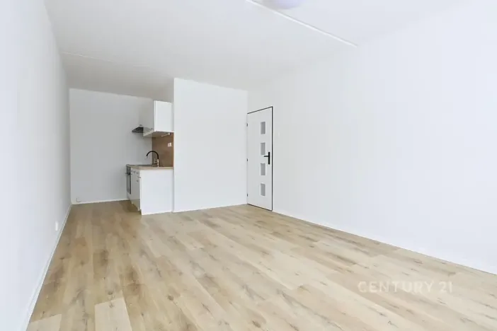 Prodej bytu 2+kk, Most, Františka Malíka, 40 m2