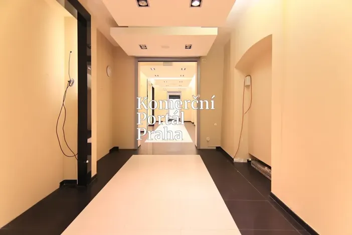 Pronájem restaurace, Praha - Nové Město, Václavské náměstí, 309 m2