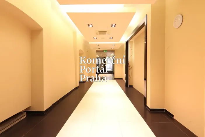 Pronájem restaurace, Praha - Nové Město, Václavské náměstí, 309 m2