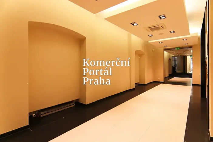 Pronájem obchodního prostoru, Praha - Nové Město, Václavské náměstí, 309 m2
