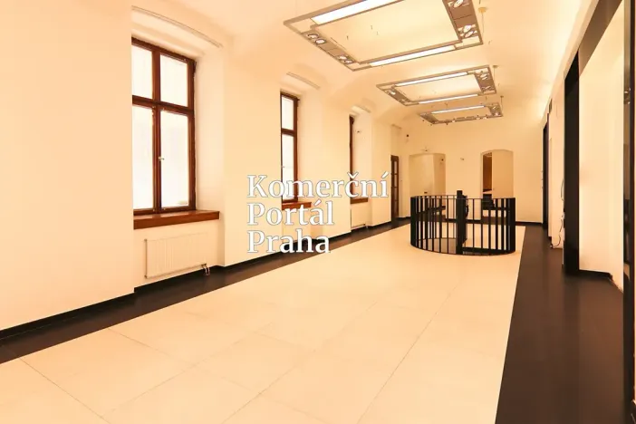 Pronájem obchodního prostoru, Praha - Nové Město, Václavské náměstí, 309 m2