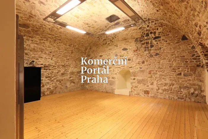 Pronájem obchodního prostoru, Praha - Nové Město, Václavské náměstí, 309 m2