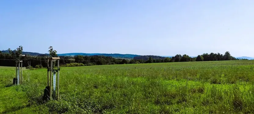 Prodej pole, Klokočná, 464 m2