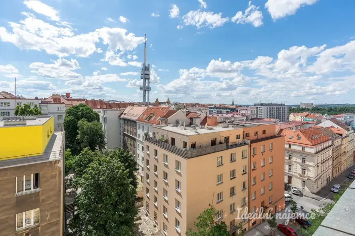 Pronájem bytu 3+1, Praha - Žižkov, Baranova, 89 m2