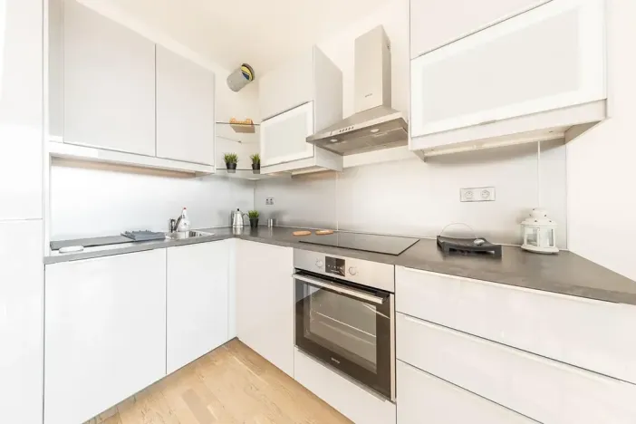 Pronájem bytu 2+kk, Praha - Holešovice, V háji, 55 m2