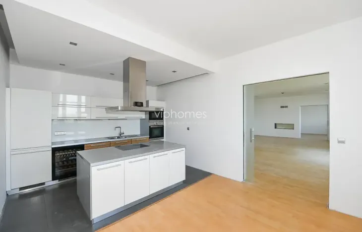Pronájem bytu 6+kk a větší, Praha - Vinohrady, Chopinova, 204 m2