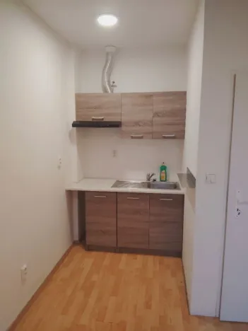 Pronájem bytu 1+kk, Ústí nad Labem - Krásné Březno, 1. máje, 26 m2