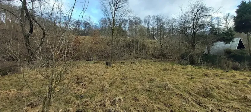 Dražba pozemku, Kamenický Šenov, 2791 m2