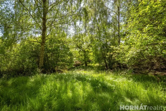 Prodej chalupy, Doksy - Žďár, 180 m2