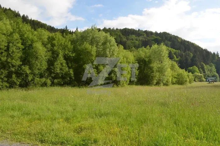 Prodej pozemku pro bydlení, Hanušovice - Potůčník, 4500 m2