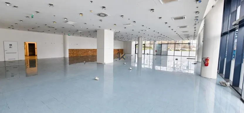 Pronájem obchodního prostoru, Praha, Siemensova, 262 m2