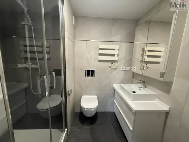 Pronájem bytu 2+kk, Most, Františka Malíka, 40 m2