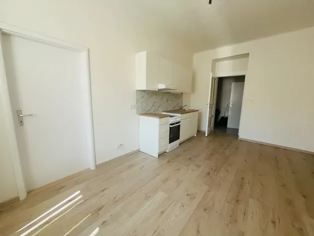 Pronájem bytu 1+1, Praha, 55 m2