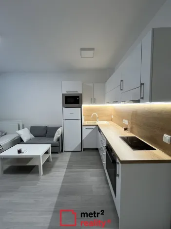 Pronájem bytu 1+kk, Olomouc, Wolkerova, 29 m2
