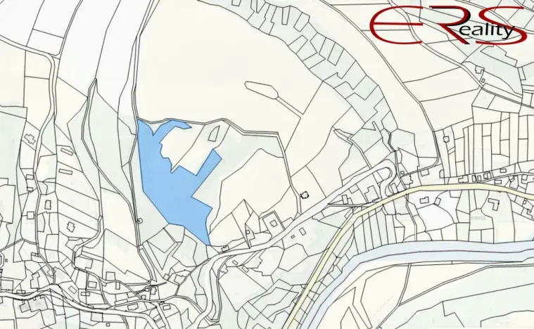 Prodej lesa, Benešov u Semil, 15416 m2