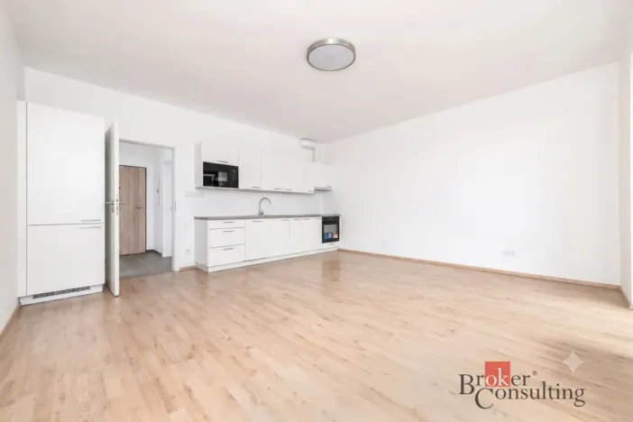 Prodej bytu 1+kk, Plzeň - Jižní Předměstí, Železná, 36 m2