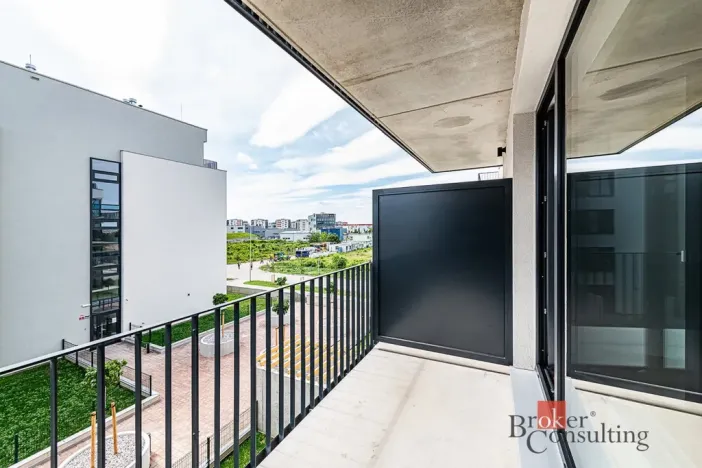 Prodej bytu 1+kk, Plzeň - Jižní Předměstí, Železná, 36 m2