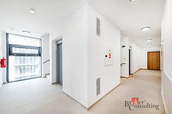 Prodej bytu 1+kk, Plzeň - Jižní Předměstí, Železná, 36 m2