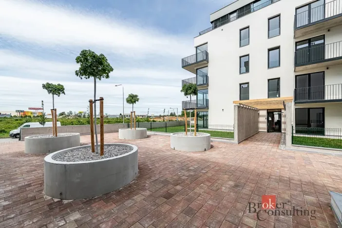 Prodej bytu 1+kk, Plzeň - Jižní Předměstí, Železná, 36 m2