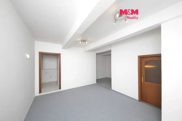 Prodej bytu 2+1, Praha - Bubeneč, U zeměpisného ústavu, 57 m2