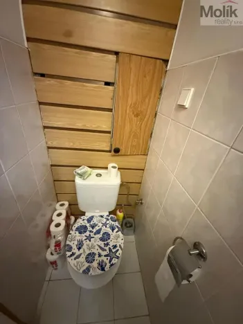 Prodej bytu 4+1, Bílina - Teplické Předměstí, Čapkova, 80 m2