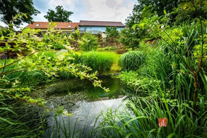 Prodej rodinného domu, Bechyně, Plechamr, 68 m2