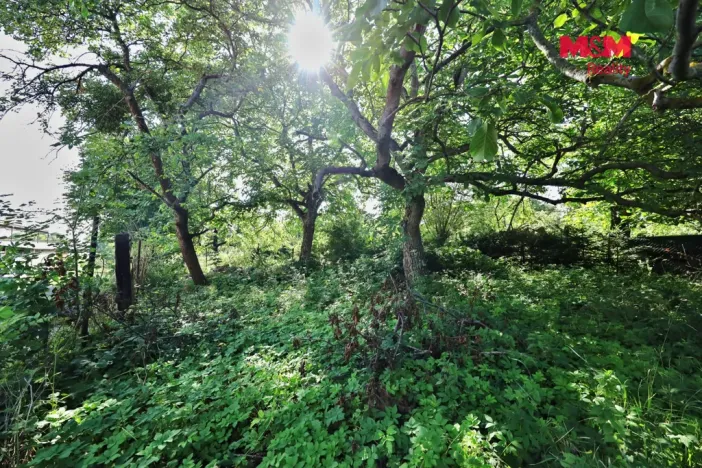 Prodej rodinného domu, Golčův Jeníkov, Mírová, 100 m2
