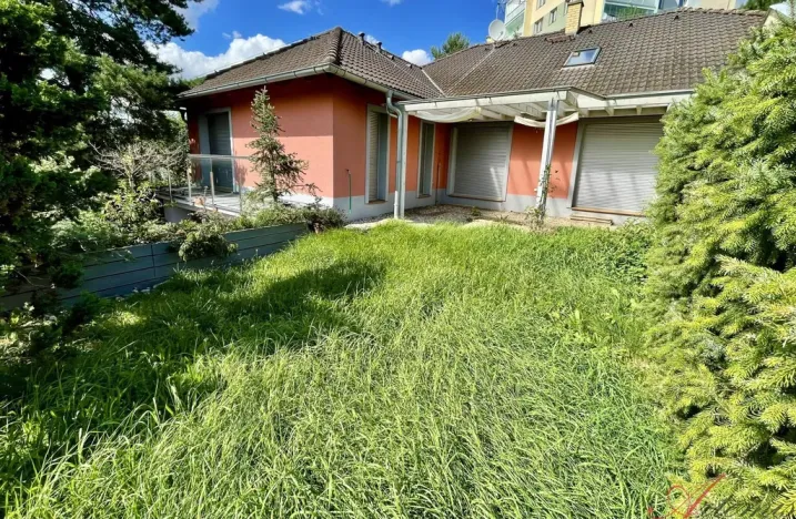 Prodej rodinného domu, Opava - Předměstí, Nerudova, 380 m2