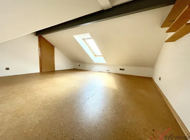 Prodej rodinného domu, Opava - Předměstí, Nerudova, 380 m2