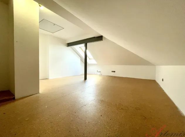Prodej rodinného domu, Opava - Předměstí, Nerudova, 380 m2