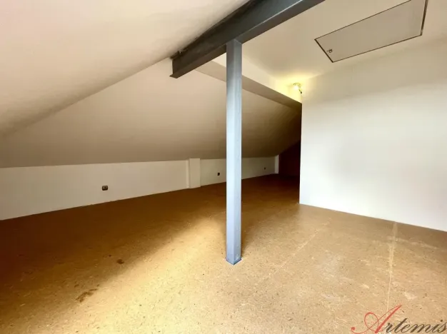 Prodej rodinného domu, Opava - Předměstí, Nerudova, 380 m2