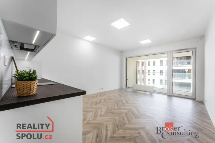 Pronájem bytu 1+kk, Brno - Zábrdovice, Cejl, 48 m2