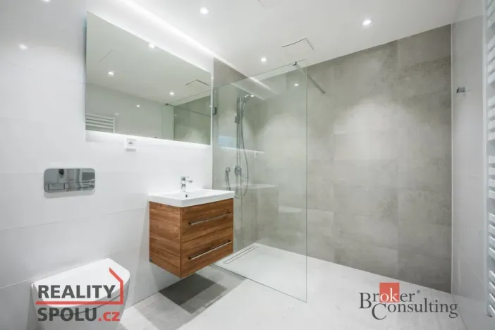 Pronájem bytu 1+kk, Brno - Zábrdovice, Cejl, 48 m2