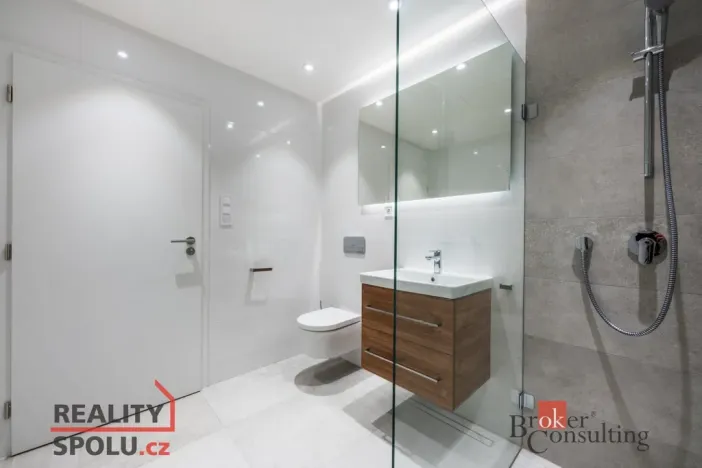 Pronájem bytu 1+kk, Brno - Zábrdovice, Cejl, 48 m2