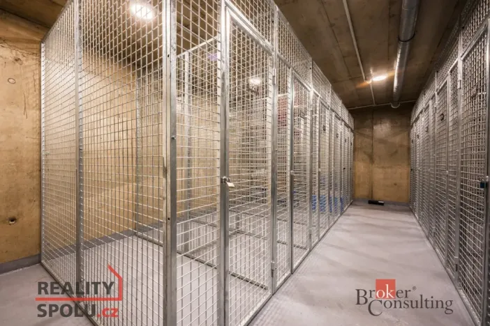 Pronájem bytu 1+kk, Brno - Zábrdovice, Cejl, 48 m2
