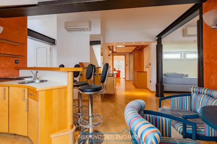 Prodej atypického bytu, Znojmo, Alšova, 310 m2