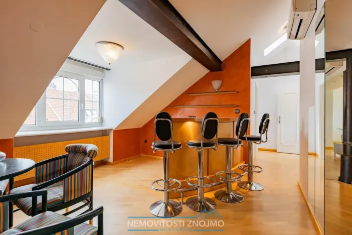 Prodej atypického bytu, Znojmo, Alšova, 310 m2