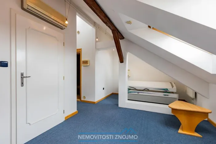 Prodej atypického bytu, Znojmo, Alšova, 310 m2