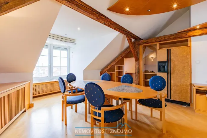 Prodej atypického bytu, Znojmo, Alšova, 310 m2