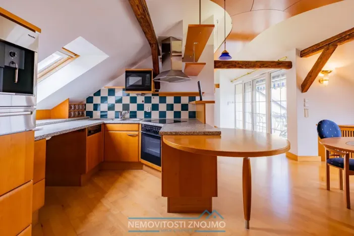 Prodej atypického bytu, Znojmo, Alšova, 310 m2
