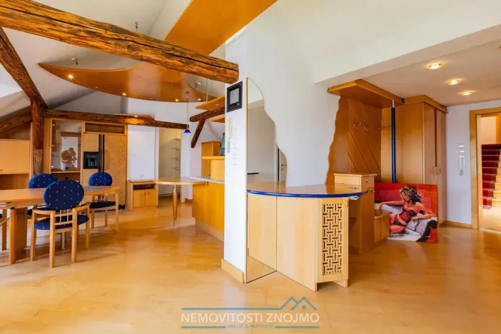 Prodej atypického bytu, Znojmo, Alšova, 310 m2