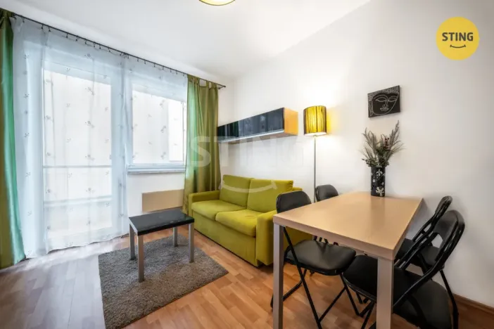 Prodej bytu 1+kk, Brno, Francouzská, 30 m2