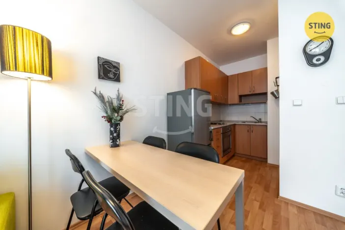 Prodej bytu 1+kk, Brno, Francouzská, 30 m2