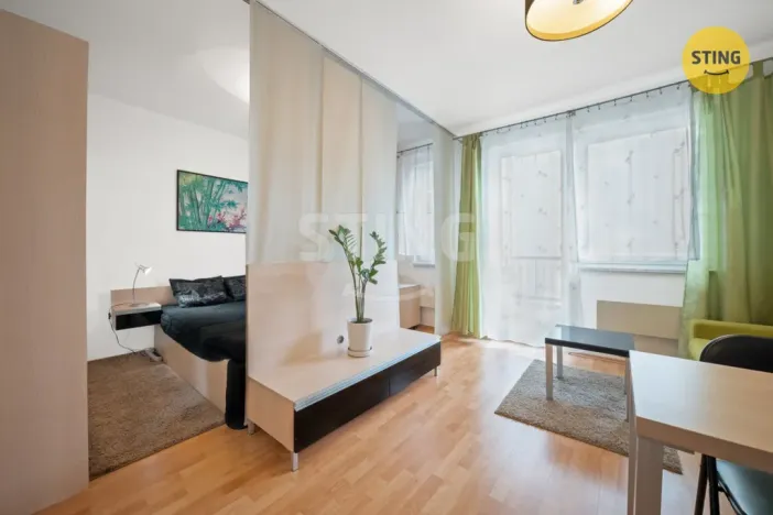 Prodej bytu 1+kk, Brno, Francouzská, 30 m2
