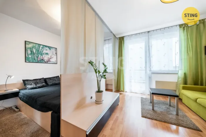 Prodej bytu 1+kk, Brno, Francouzská, 30 m2