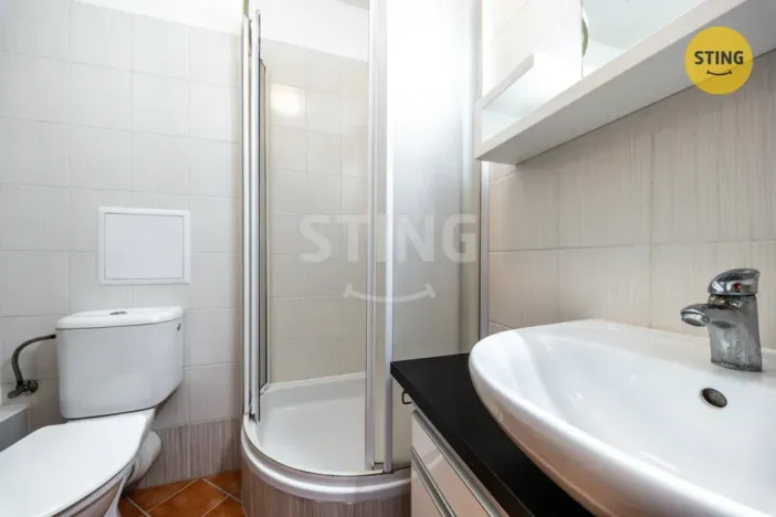 Prodej bytu 1+kk, Brno, Francouzská, 30 m2