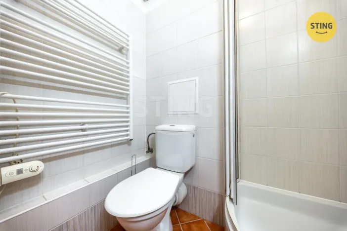 Prodej bytu 1+kk, Brno, Francouzská, 30 m2