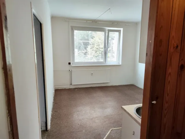 Prodej bytu 1+1, Cheb, Dvořákova, 42 m2