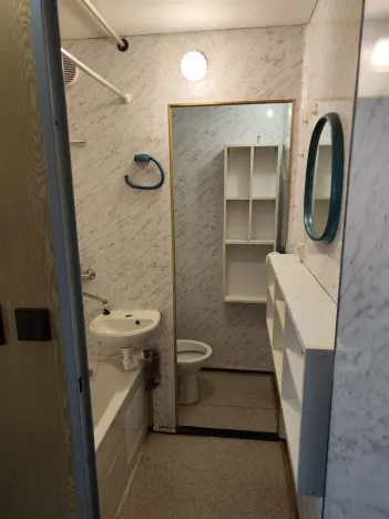Prodej bytu 1+1, Cheb, Dvořákova, 42 m2