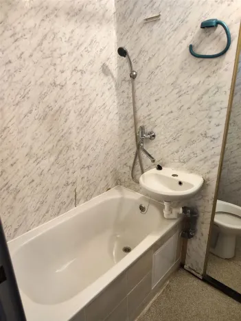Prodej bytu 1+1, Cheb, Dvořákova, 42 m2